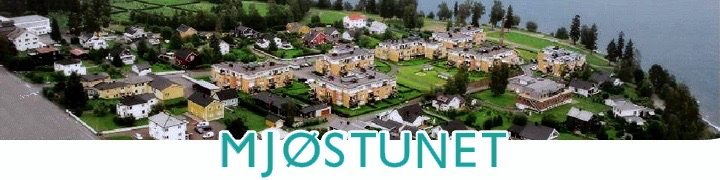 Mjøstunet